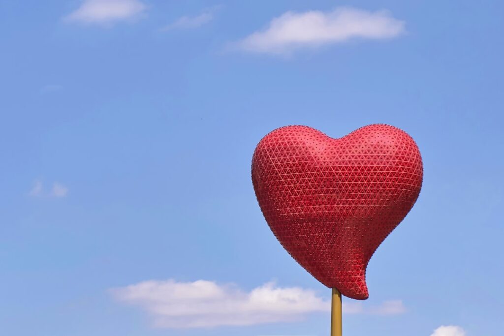 Photo Heart monitor