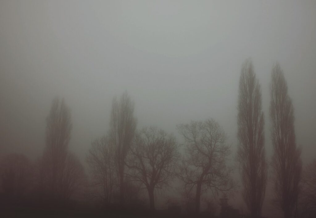 Photo Weather forecast