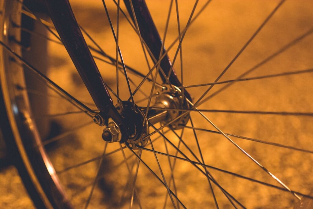 Photo Risk Management Cycle