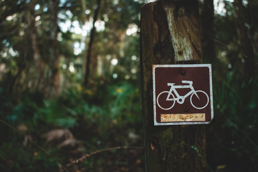 Photo Risk Management Cycle